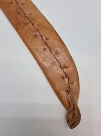 Veludført machete