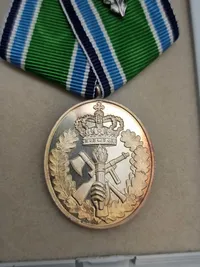 Originalt HJV anncinitetstegn med æske og af sterlingsølv