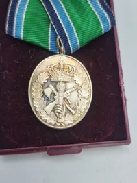 Originalt HJV anncinitetstegn med æske og af sterlingsølv