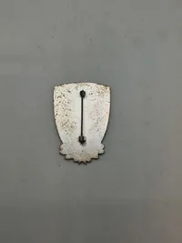 Originalt tysk badge fra Waffen-SS veteran træf