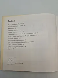 Luftkrig over Danmark (3)