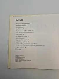 Luftkrig over Danmark (3)