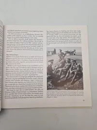 Luftkrig over Danmark (3)