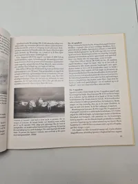 Luftkrig over Danmark (3)