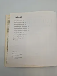 Luftkrig over Danmark (3)