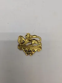 Samling danske regimentsmærker mm.