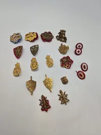 Samling danske regimentsmærker mm.