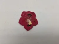 Samling danske regimentsmærker mm.