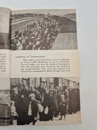 Auschwitz - 1940 1945