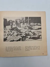 Originalt hæfte - Never Again