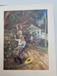 3 originale Ota bøger