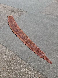 Originalt slangeskin