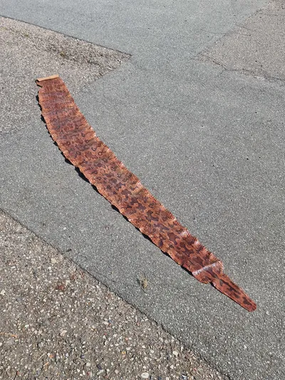 Originalt slangeskin