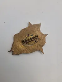 Originale tidlige russiske badges i emalje