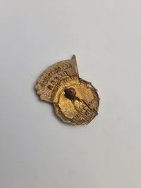 Originale tidlige russiske badges i emalje