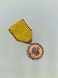 Original æresmedalje fra forsvarets brevdue flyvning “Bronze”