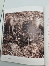 Frømænd - Det første dusin