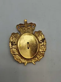 To stk danske politi badges