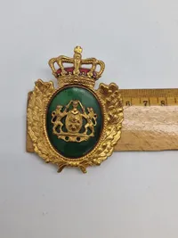 To stk danske politi badges