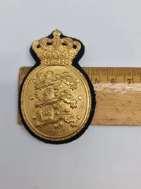 To stk danske politi badges
