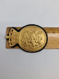 To stk danske politi badges