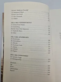 I krig for Lincoln - Dansk blod i den amerikanske borgerkrig