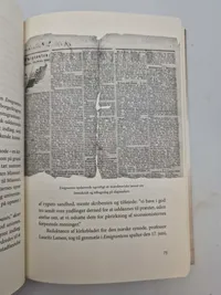 I krig for Lincoln - Dansk blod i den amerikanske borgerkrig