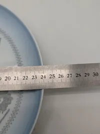Bing & Grøndahl Copenhagen Porcelæn Vægplatte nr. 4866/325