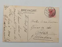 Vintage Postcard of Skagens Badehotel paa Grenen, Denmark