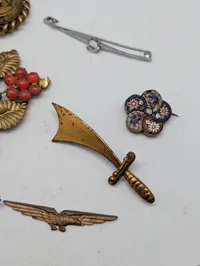 Vintage Mixed Costume Jewelry and Brooch Collection