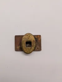 modstandsbevægelsen pin, sjælden 