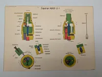 Danske militære plancher og våbenblad for 105mm ammunition og M/46 pistol