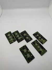 Sæt af 6 Danske  M84 camouflagemønstrede distinktioner