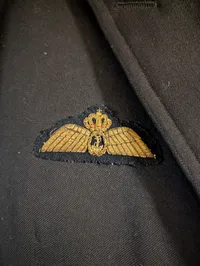 Dansk Marine officer med  Pilotvinger og Guldknapper