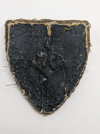 Ekstremt Sjældent Dansk D.N.S.A.P. ærmeskjold for Syssel Leder WW2 