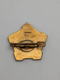 Danske Livregiment pin 