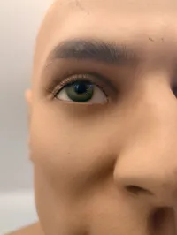 Realistisk mandlig mannequin-hoved i plast med øjne