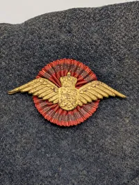 Dansk Flyvevåben Sidecap 