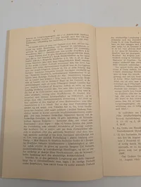 Tillæg til Straffeloven, G. E. C. Gads Forlag, 1946