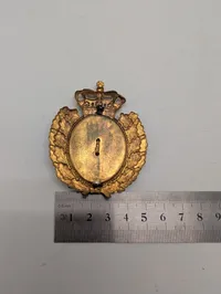 Dansk politikasket emblem 