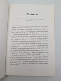 I Skyggen af Jernkorset by Jens Fjelde and Michael Holbek Jensen