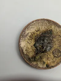 Tysk NSDAP Medlemsnål, M1/159 Hans Doppel, Pforzheim