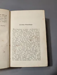 1895 A. M. Mangor Kogebog for smaa Husholdninger Cookbook