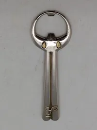 Albani oplukker 