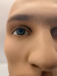 Mandlig mannequin-hovedbuste med realistiske træk