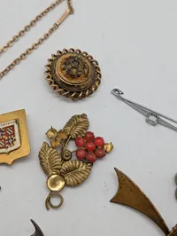 Vintage Mixed Costume Jewelry and Brooch Collection
