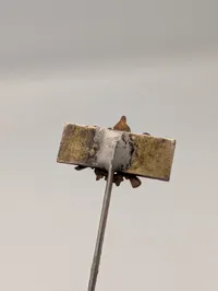 modstandsbevægelsen pin, sjælden 