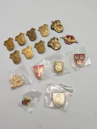 Samling Danske Regimentsmærker 