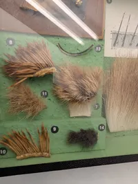 Vintage zoologisk undervisningsmontre med dyrehår og hudprøver