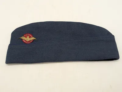 Dansk Flyvevåben Sidecap